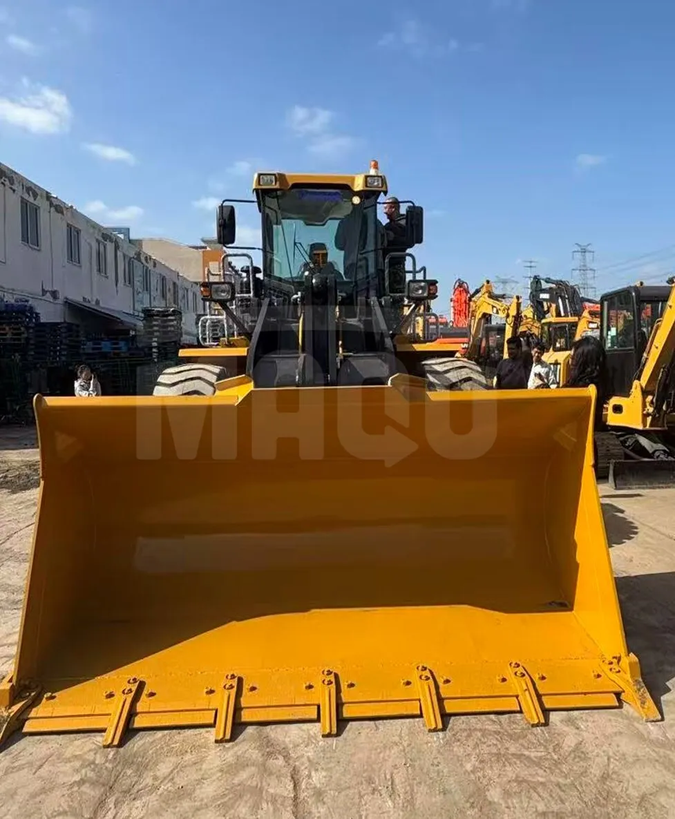 Cargador frontal XCMG ZL50GN (2024) - Foto # 6