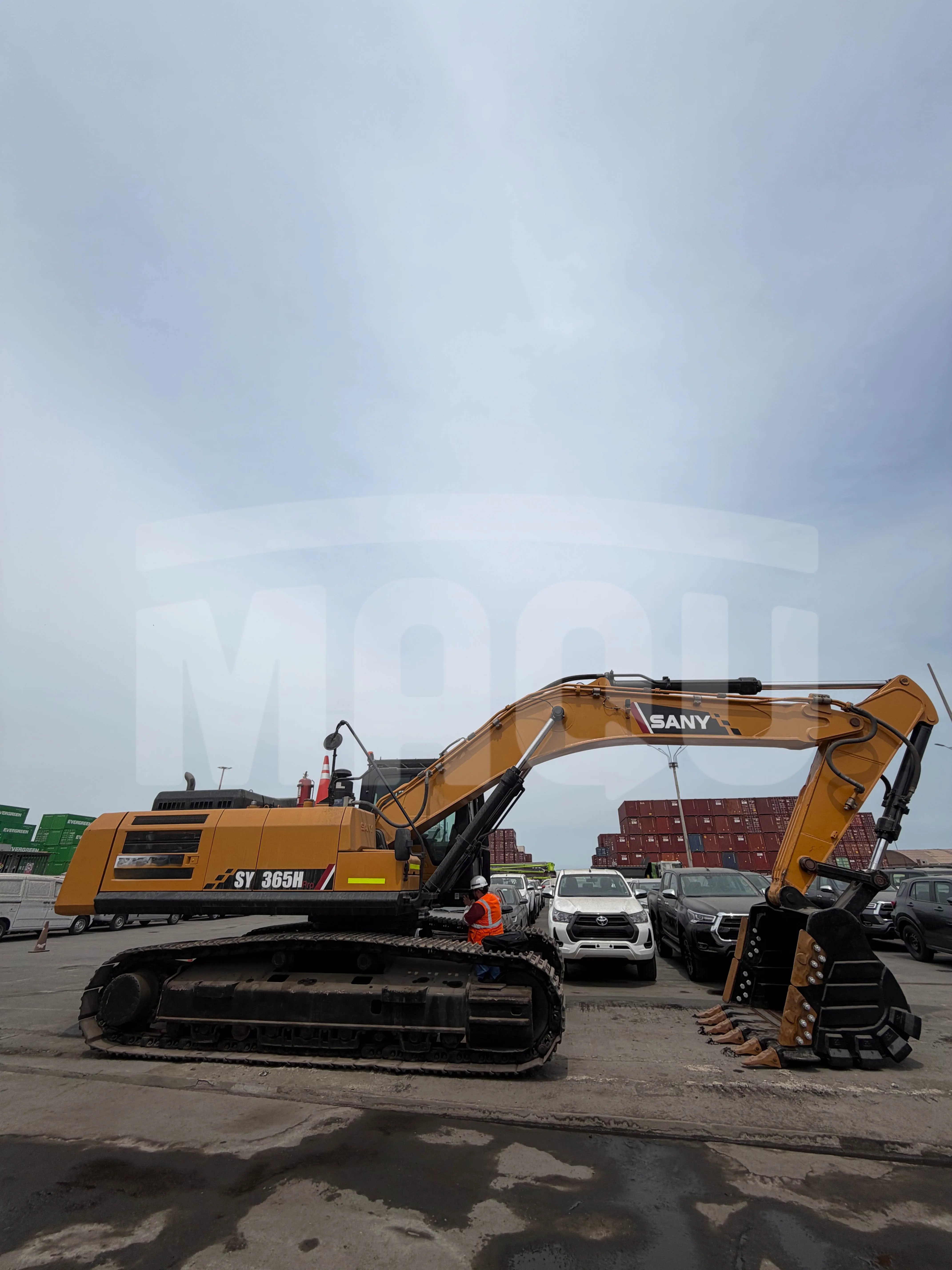 Excavadora sobre orugas SANY SY365H (2021) - Foto # 5