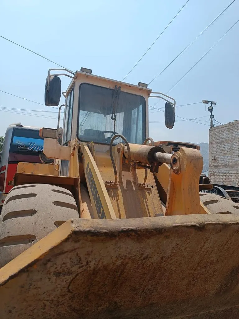 Cargador frontal LIEBHERR L541 (1992) - Foto # 6