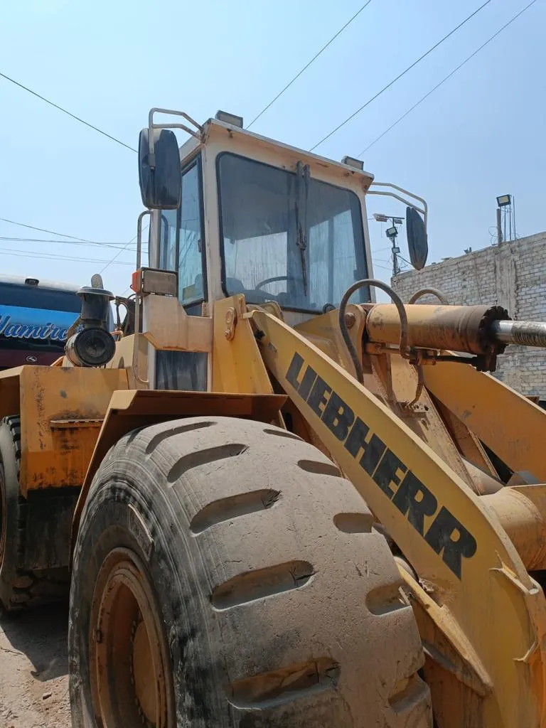 Cargador frontal LIEBHERR L541 (1992) - Foto # 5